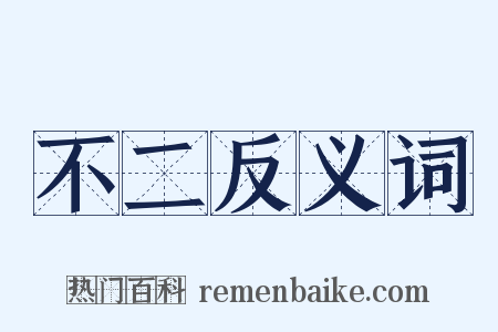 不二反义词是什么意思的图片